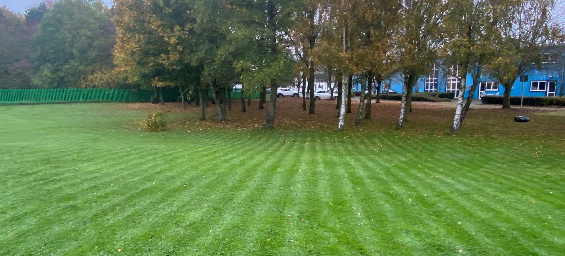 Image of stripes